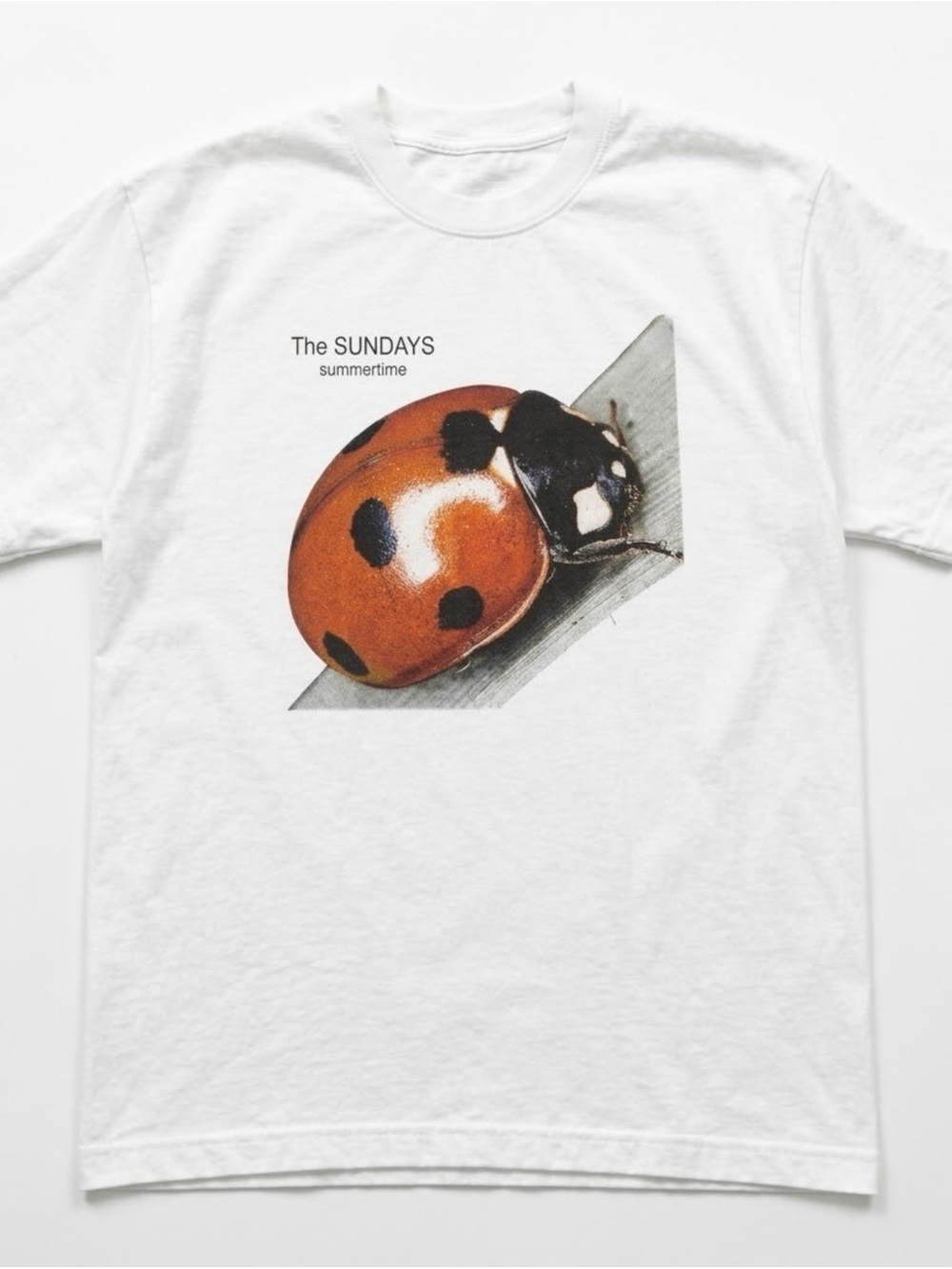 The Sundays Summertime Ladybug Graphic T-Shirt White Gildan